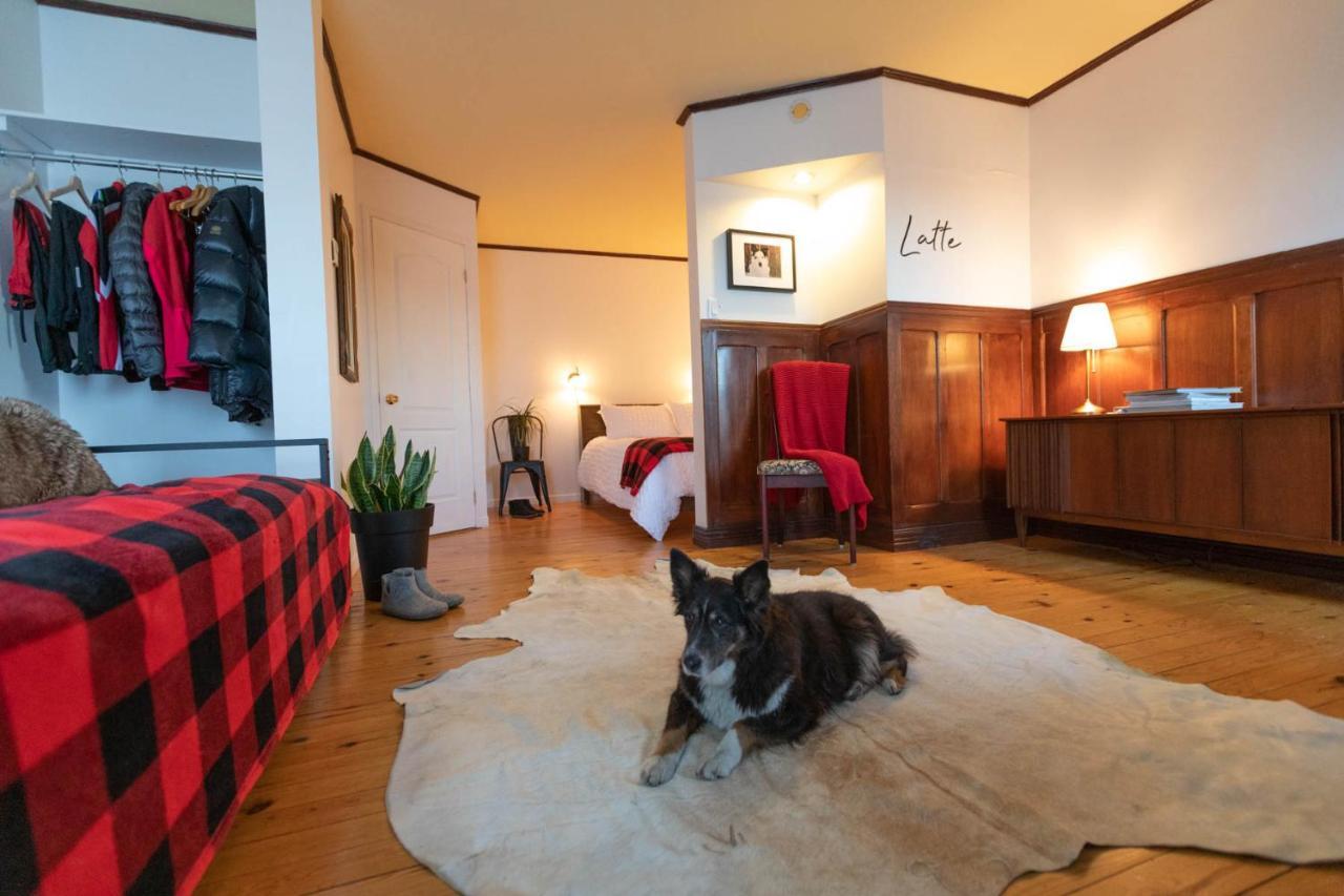 Auberge & Campagne Saint-Ferreol-les-Neiges 外观 照片